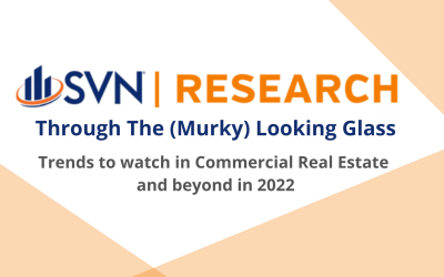2021 SVN Annual Report